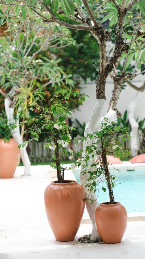 Villa Diola 3 Canggu (Bali)